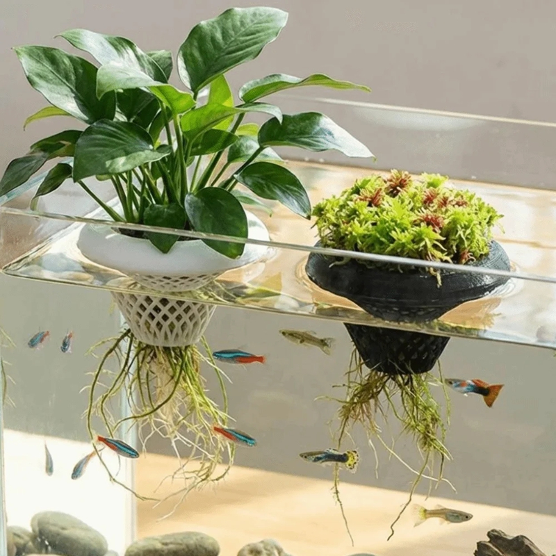 Planted Aquarium Jar - Floating Aquarium Plant Pot, 3D Water