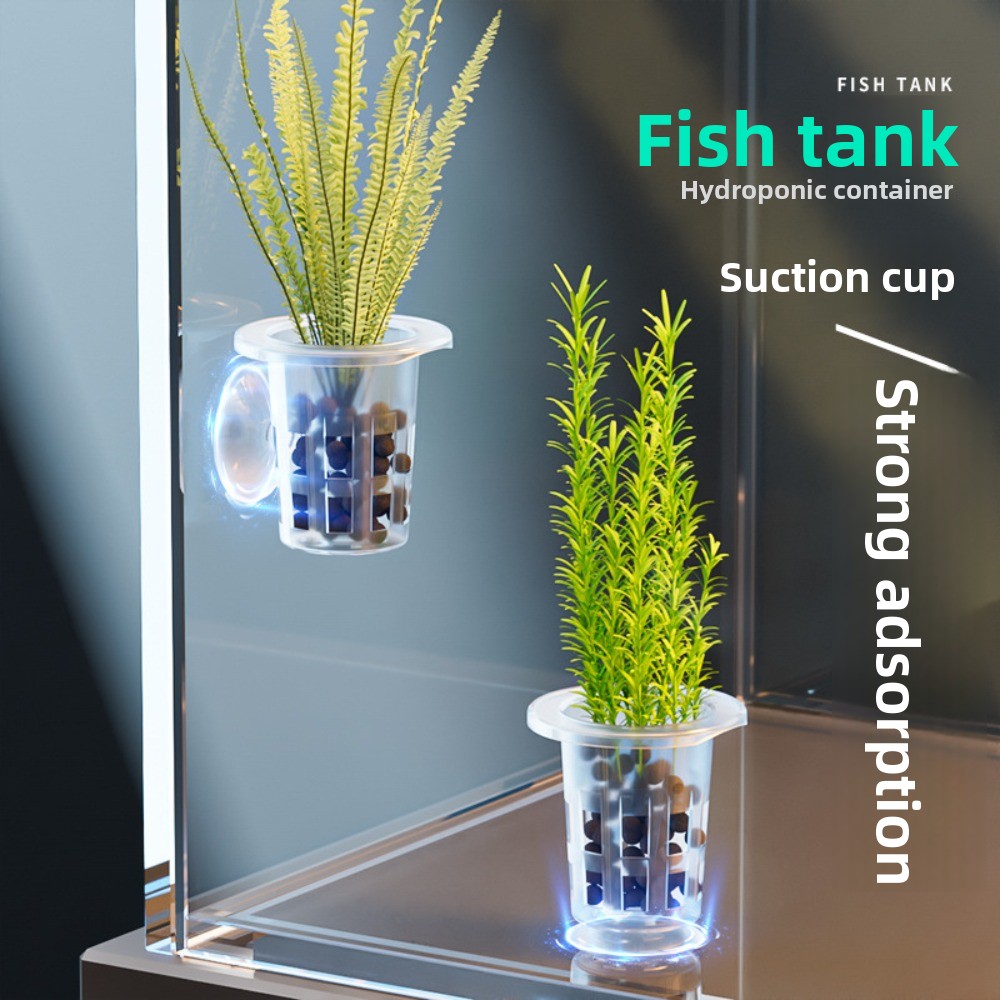 10Pcs Transparent Plant Hydrop - Aquarium Plant Live recension och pris