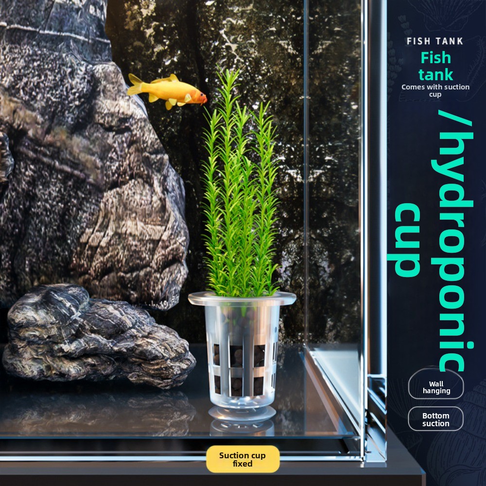 10Pcs Transparent Plant Hydrop - Aquarium Plant Live recension och pris