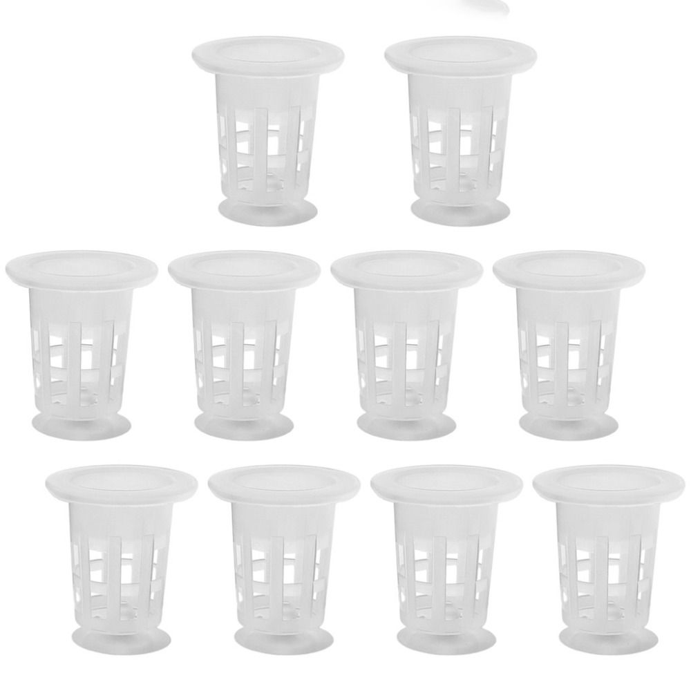 10Pcs Transparent Plant Hydrop - Aquarium Plant Live recension och pris