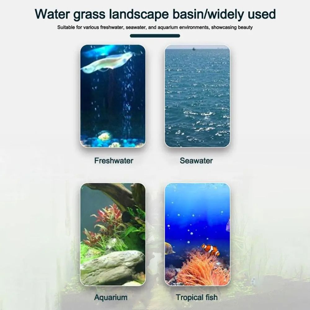 10Pcs Transparent Plant Hydrop - Aquarium Plant Live recension och pris