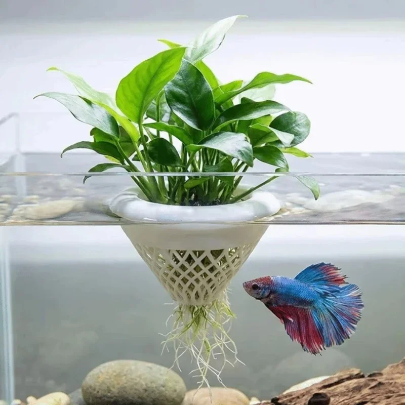 3d Printed Floating Aquarium P - Planted Aquarium Jar recension och pris