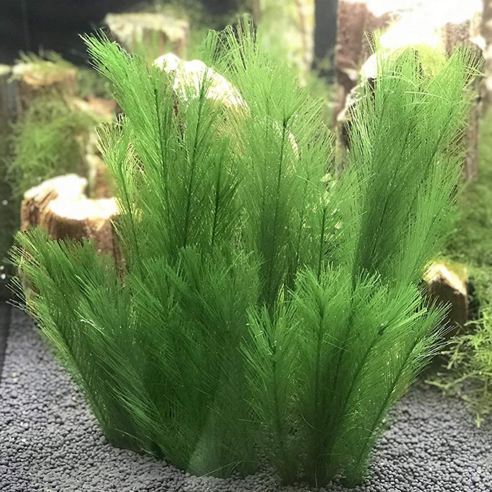 1/3Pcs 28/40cm Aquarium Fish T - Aquarium Plant Live recension och pris