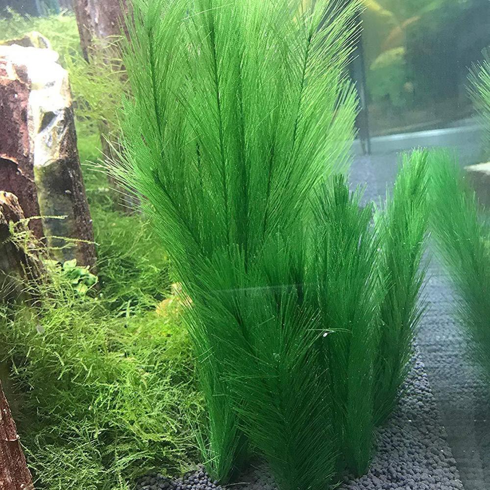 1/3Pcs 28/40cm Aquarium Fish T - Aquarium Plant Live recension och pris