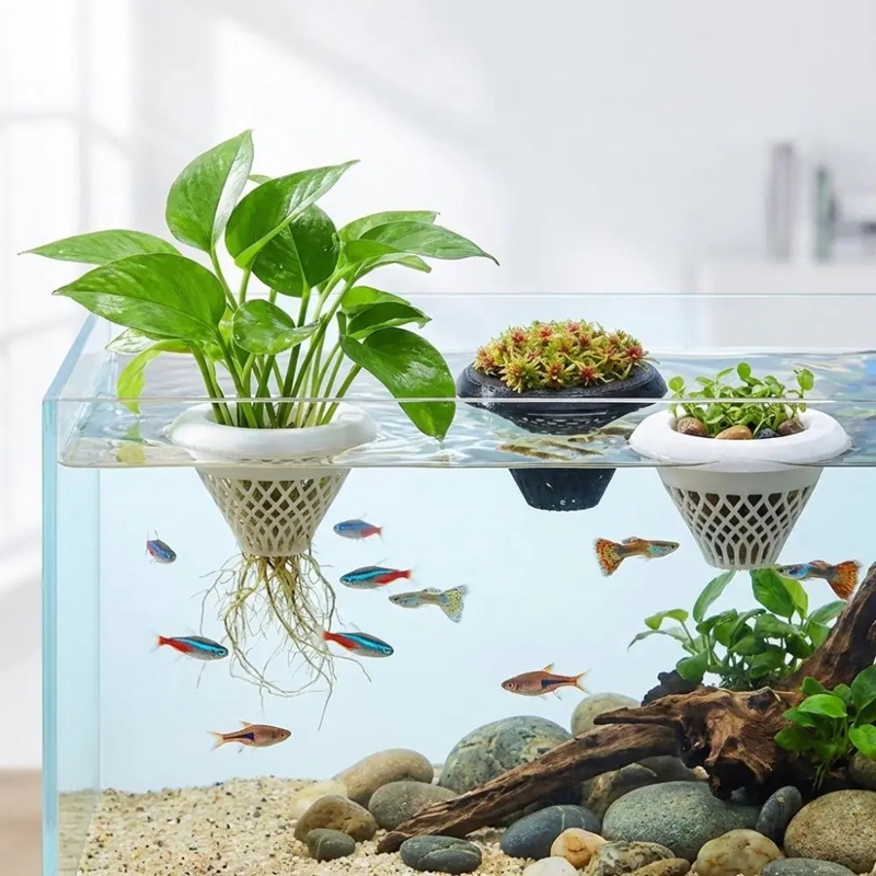 Floating Aquarium Plant Pot, 3 - Planted Aquarium Jar recension och pris