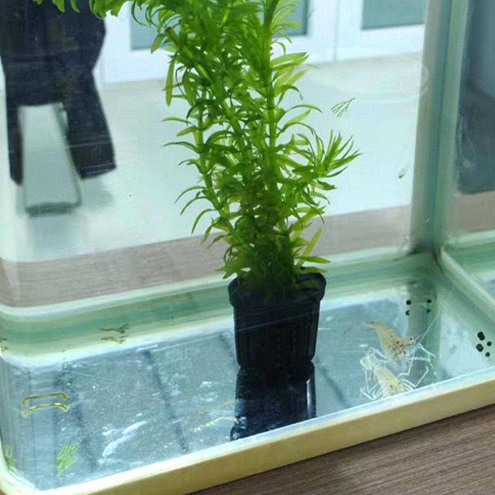 4 Pieces Hydroponic Plant Bask - Aquarium Planted Background recension och pris