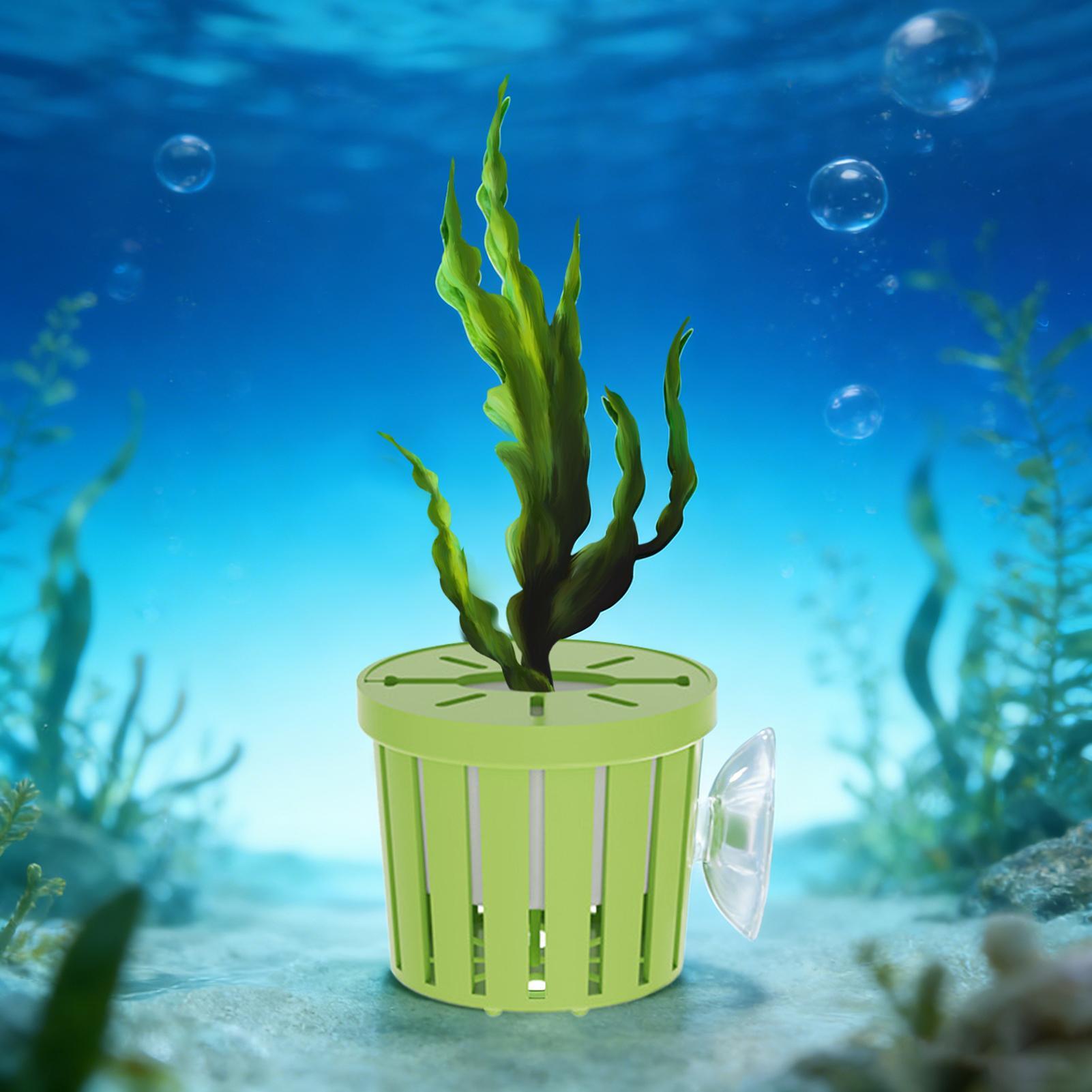 4 Pieces Hydroponic Plant Bask - Aquarium Planted Background recension och pris