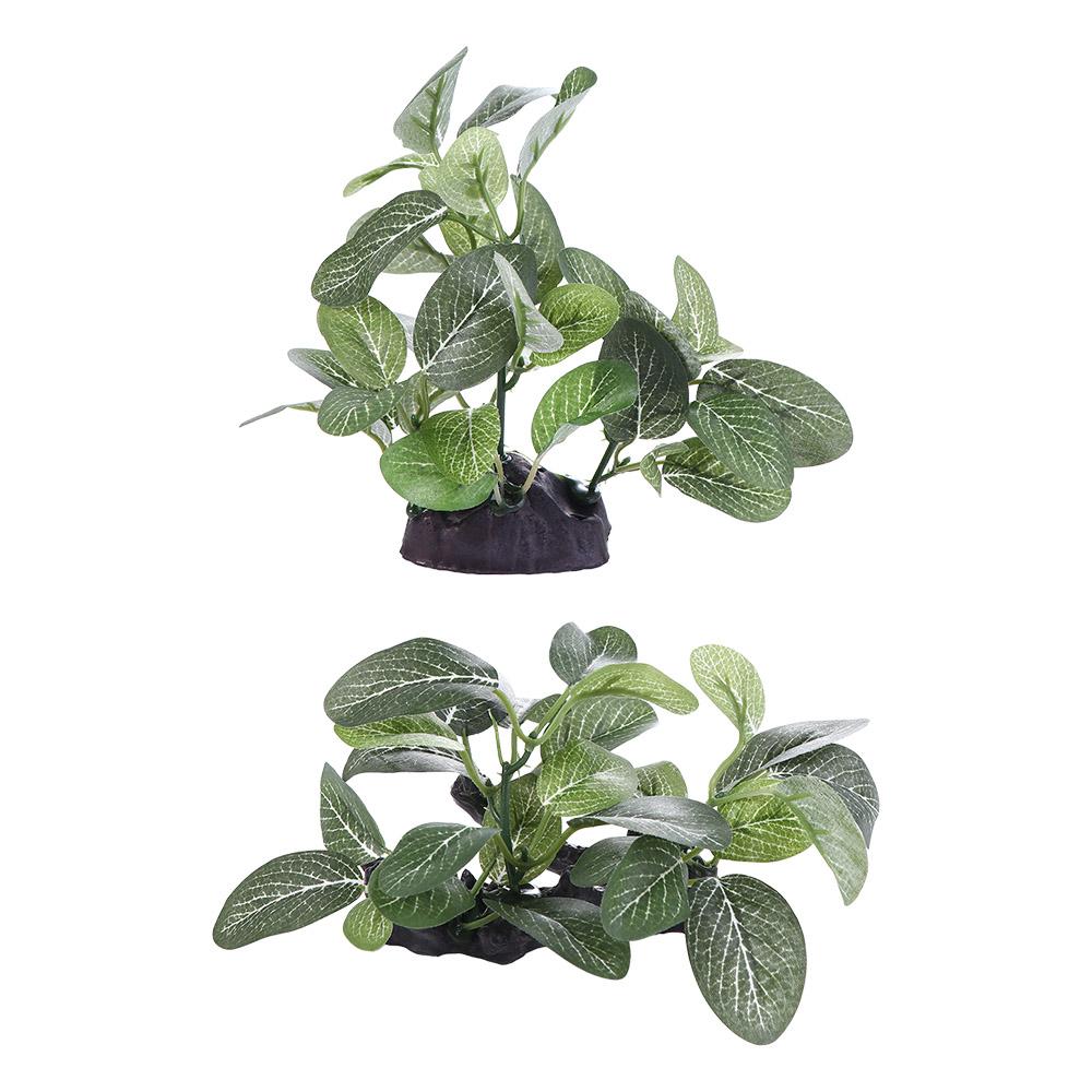 Creative Plastic for Fish Tank - Planted Aquarium Jar recension och pris