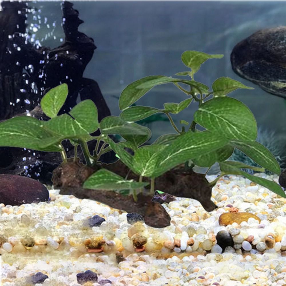 Creative Plastic for Fish Tank - Planted Aquarium Jar recension och pris