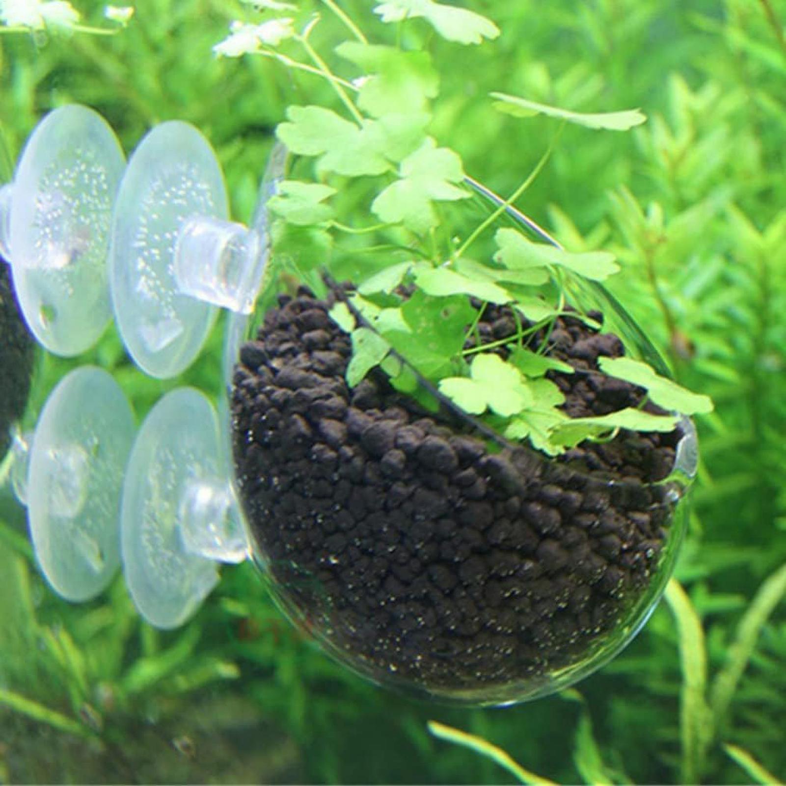 Aquarium Plant Holder Glass Aq - Planted Aquarium Media recension och pris