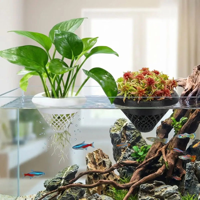 Floating Aquarium Plant Pot, 3 - Planted Aquarium Jar recension och pris