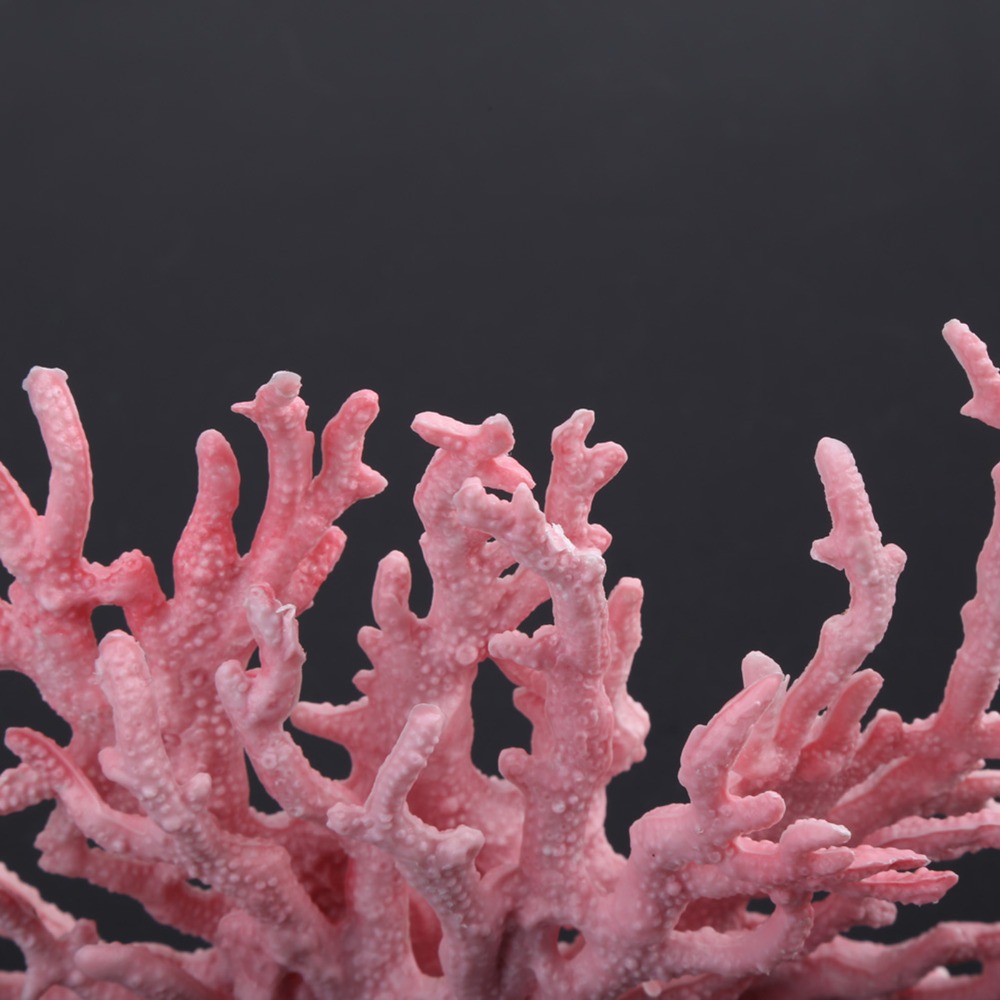 Decoration Accessories Colorfu - Aquarium Planted Background recension och pris