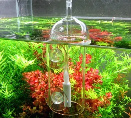 VIV Do Device Aquarium Cylinde - Aquarium Plant Live recension och pris