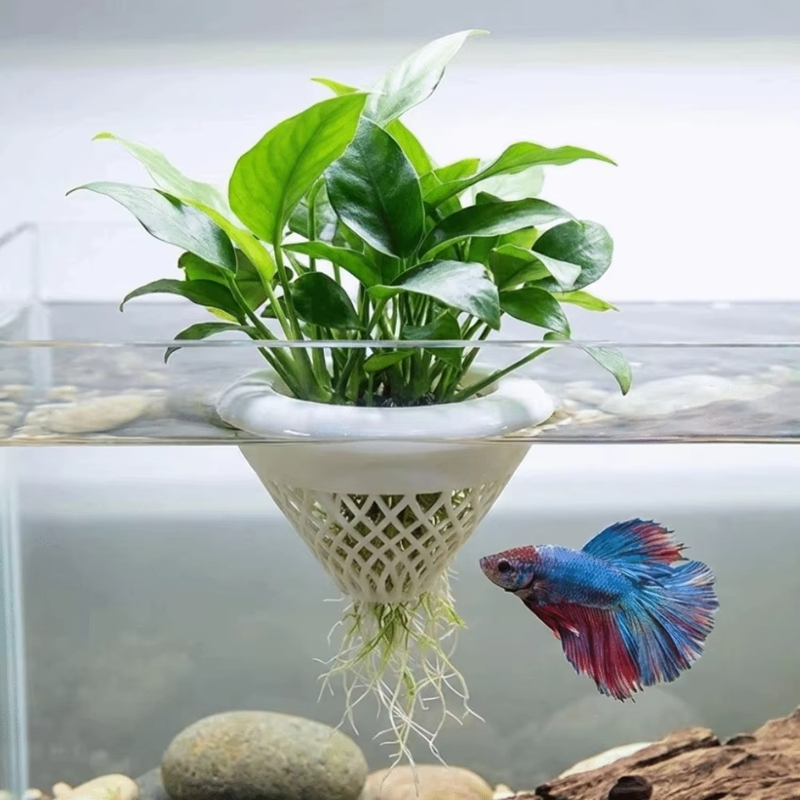 Floating Aquarium Plant Pot, 3 - Planted Aquarium Jar recension och pris