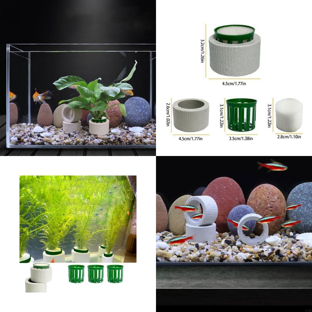 37ME Ceramic Aquarium Plant Ri - Aquarium Planted Background recension och pris