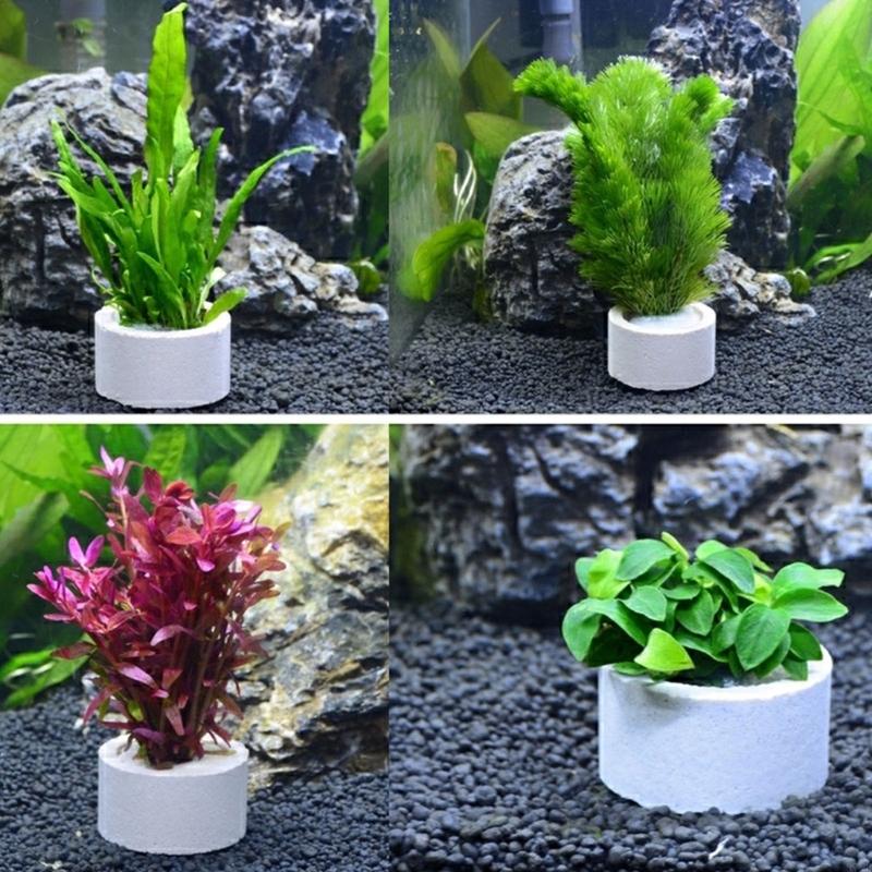 37ME Ceramic Aquarium Plant Ri - Aquarium Planted Background recension och pris