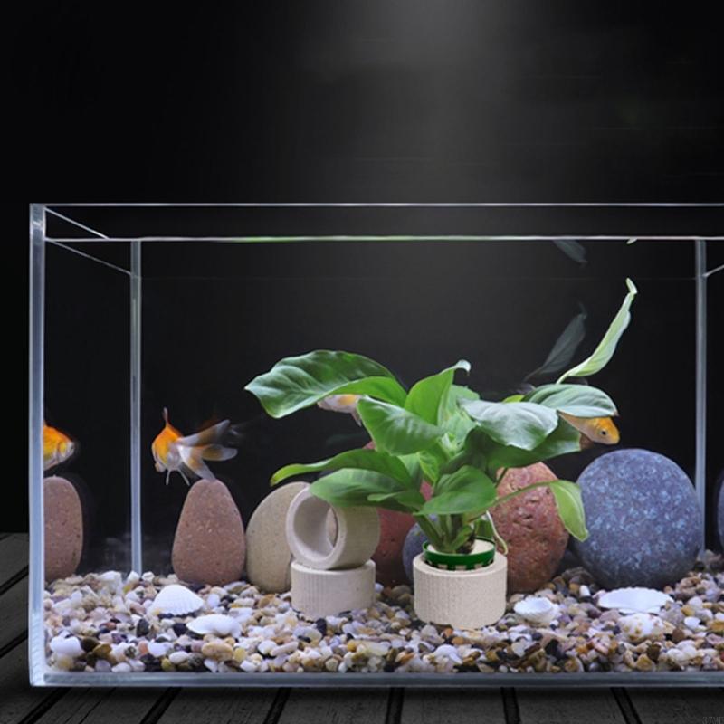37ME Ceramic Aquarium Plant Ri - Aquarium Planted Background recension och pris