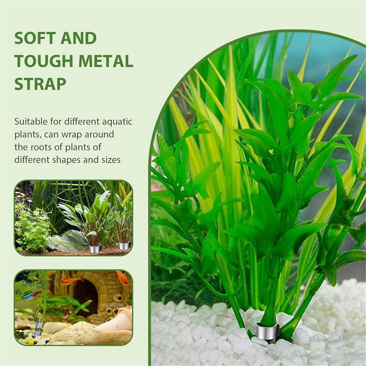 Time Saving Aquarium Plant Wei - Aquarium Plant Live recension och pris
