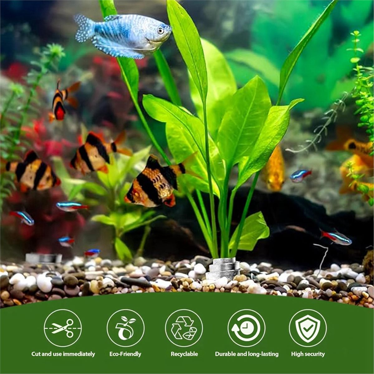 Time Saving Aquarium Plant Wei - Aquarium Plant Live recension och pris