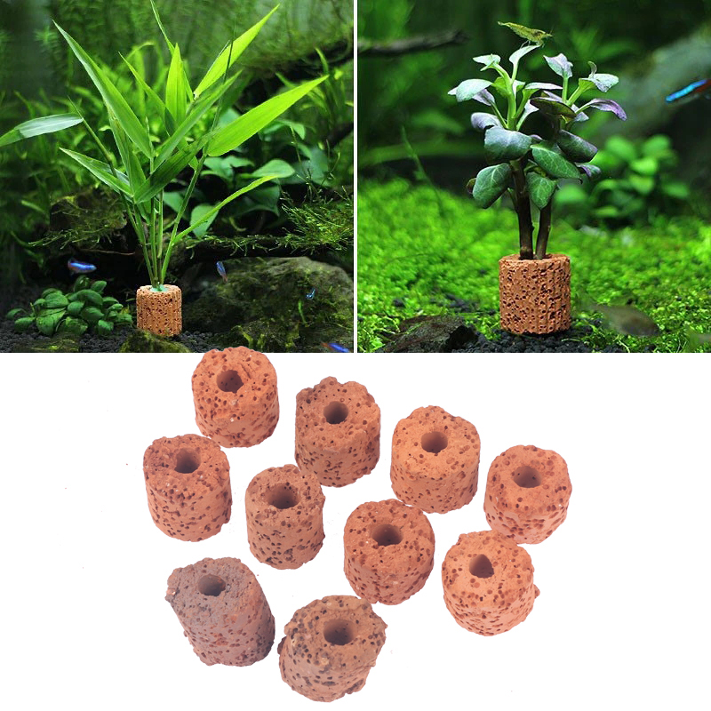^10Pcs Plant Ring Aquarium Fix - Planted Aquarium Media recension och pris