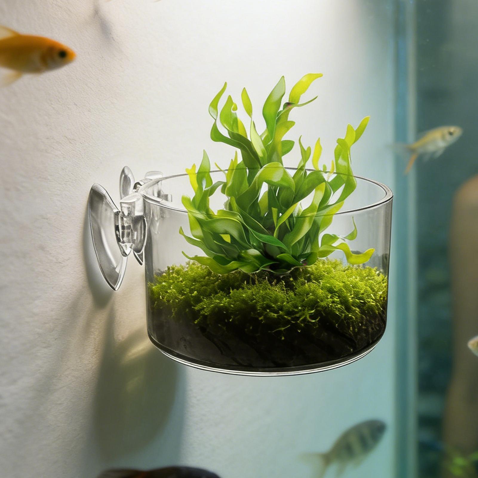 Acrylic Aquarium Plant Holder  - Aquarium Planted Background recension och pris