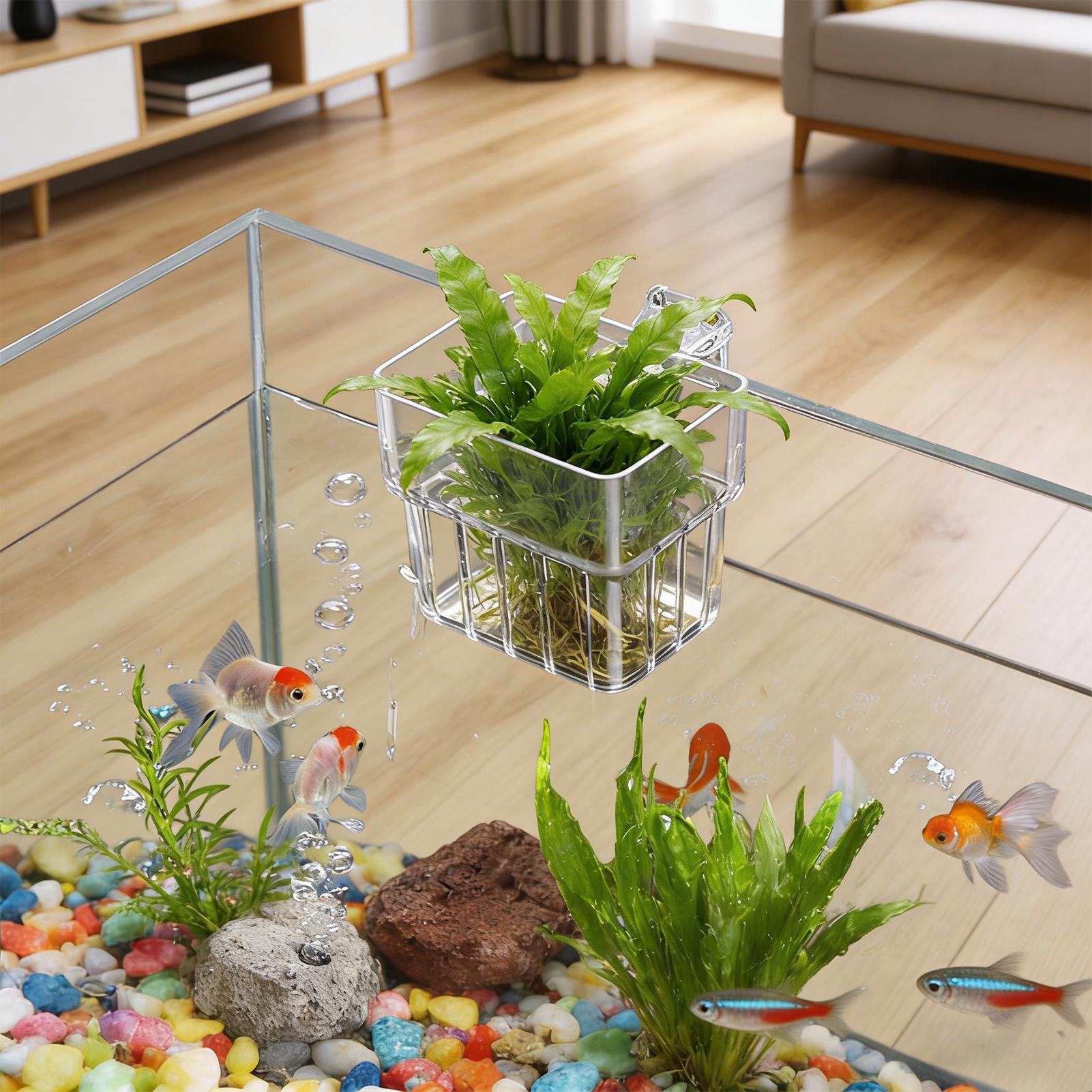 Aquarium Transparent Hanger Po - Aquarium Plant Live recension och pris