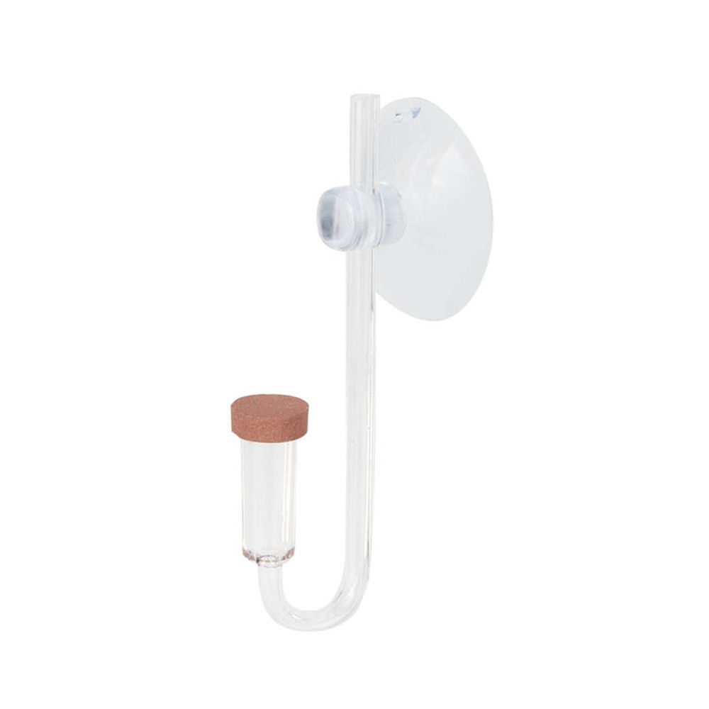 Acrylic Mini Fish Tank Live Pl - Aquarium Plant Live recension och pris