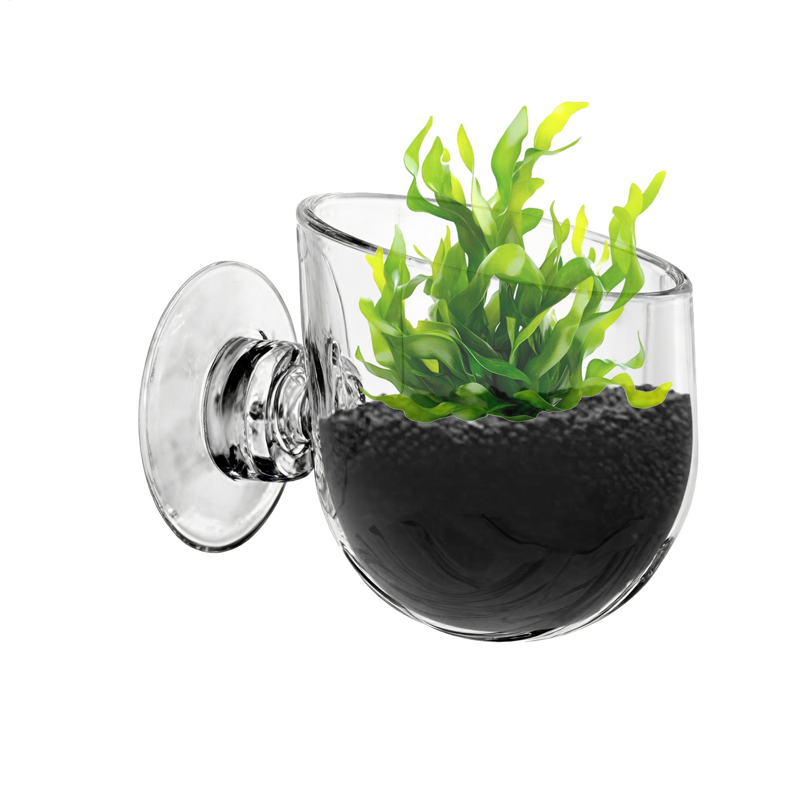Aquarium Plant Holder Acrylic  - Aquarium Planted Background recension och pris